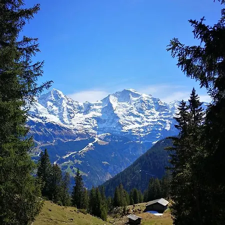 Bed & Breakfast Swisshut 2*