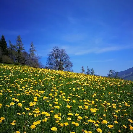 Swisshut Bed & Breakfast Sigriswil