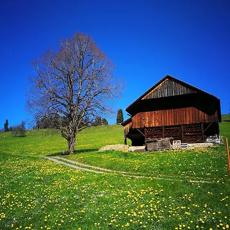 Swisshut 2*