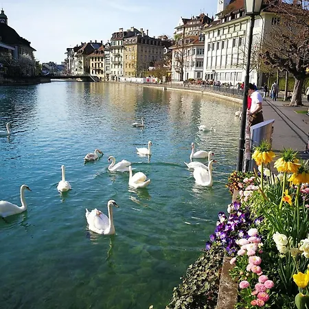 Swisshut Frühstückspension Sigriswil