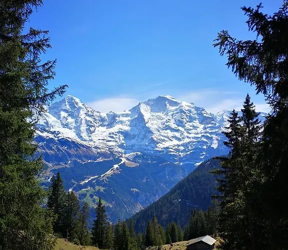 Frühstückspension Swisshut 2*