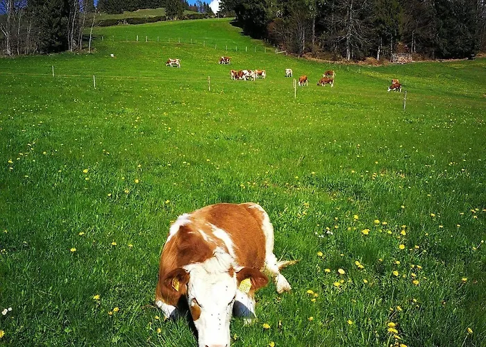 Swisshut Frühstückspension Sigriswil
