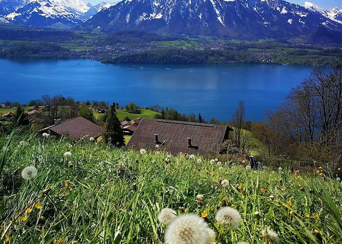 Swisshut 2* Sigriswil