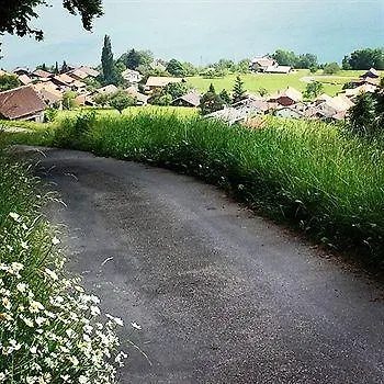 Nocleg ze śniadaniem Swisshut 2*