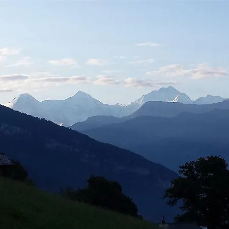 Swisshut 2*