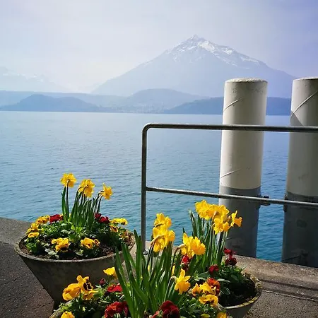 Bed and Breakfast Swisshut