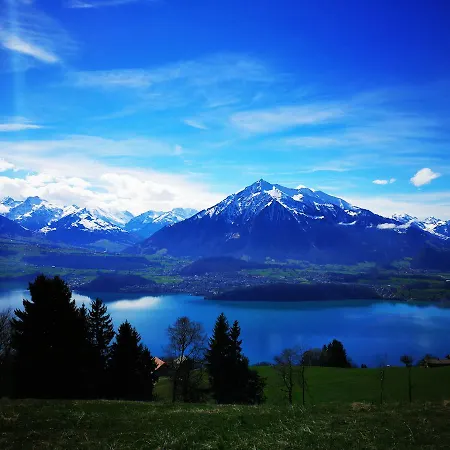 Swisshut 2*