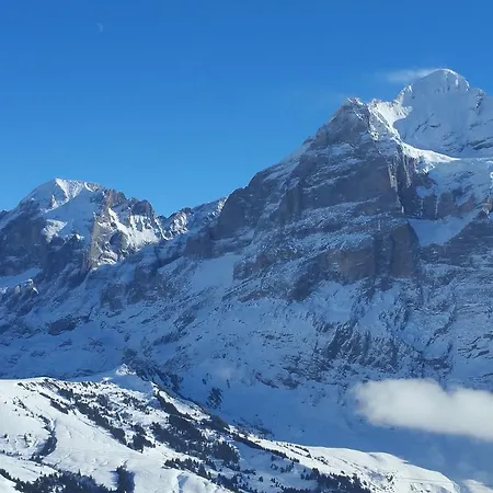 Swisshut Bed & Breakfast 2*