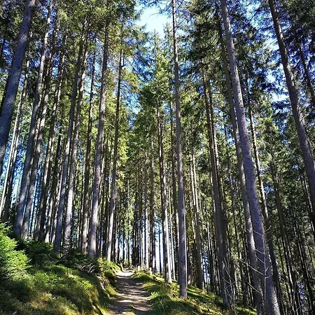 Swisshut Bed & Breakfast