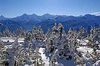 Bed & Breakfast Swisshut 2*