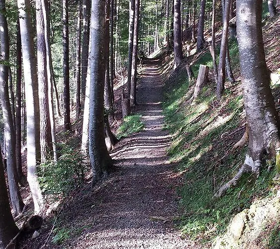 Swisshut Bed & Breakfast