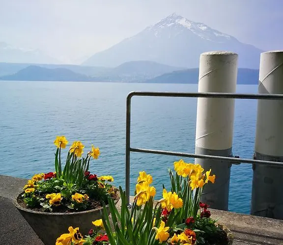 Bed & Breakfast Swisshut