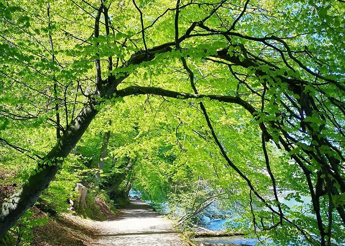 Bed & Breakfast Swisshut