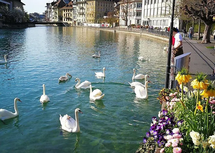 Swisshut Bed & Breakfast Sigriswil