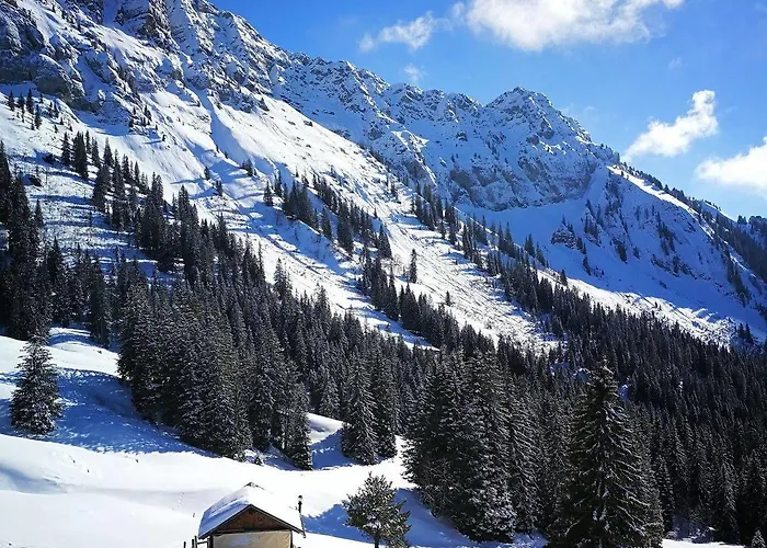 Swisshut Bed & Breakfast 2*