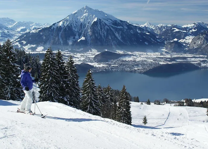 Swisshut Bed & Breakfast