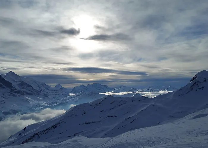 Swisshut Bed & Breakfast