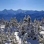 Bed & Breakfast Swisshut 2*