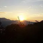 Swisshut