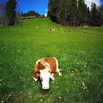 Swisshut Bed & Breakfast Sigriswil