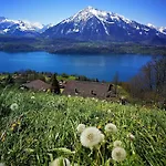 Swisshut 2* Sigriswil
