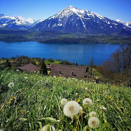 Swisshut 2* Sigriswil